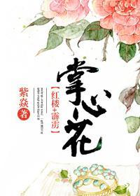 [红楼+霹雳]掌心花