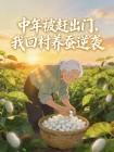 中年被赶出门，我回村养蚕逆袭